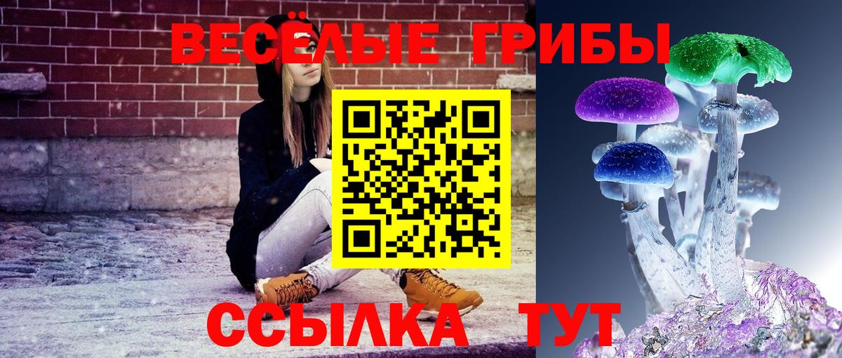 Галлюциногенные грибы Psilocybine cubensis  Галлюциногенные грибы ЛСД  Барнаул  Вход с VPN 