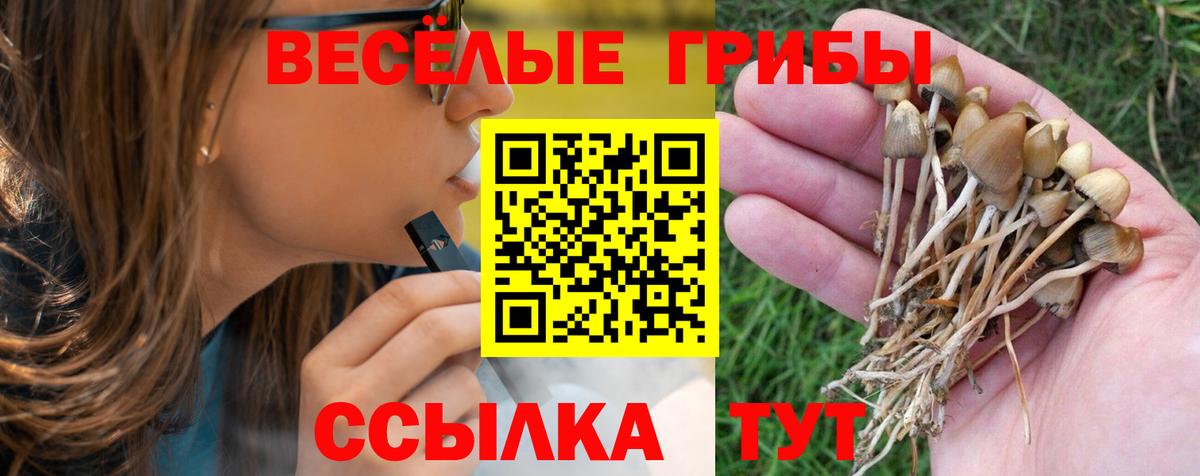 Галлюциногенные грибы мицелий Барнаул